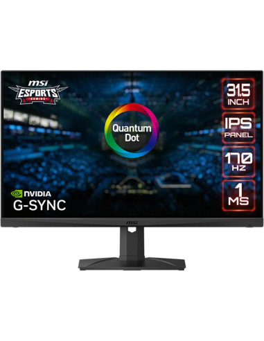Monitor gaming msi mag321qr - qd 31.5 pulgadas wqhd 170hz
