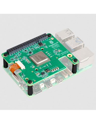 Kit oficial raspberry pi kit ai ai hat+ 13 tops
