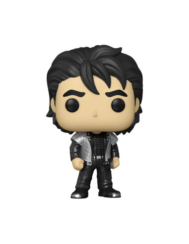 Funko pop rocks duran duran wild boys roger 64054