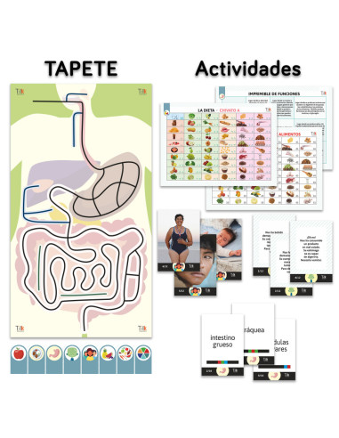 Pack aparato digestivo tilk ozobot tapete + actividades