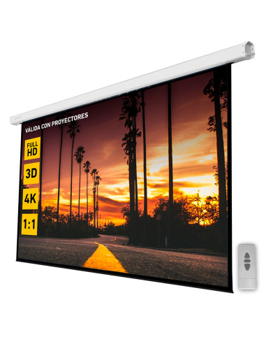 Pantalla electrica videoproyector pared y techo phoenix 112´´ ratio 1:1 - 4:3 - 16:9 2m x 2 m  posicion ajustable - carcasa b